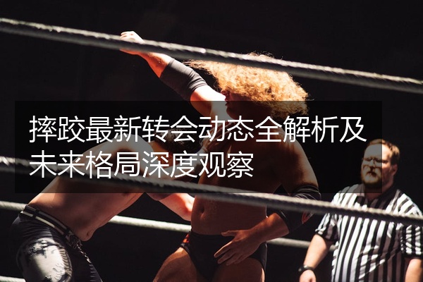 摔跤最新转会动态全解析及未来格局深度观察